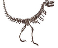 T-Rex Skeleton Necklace